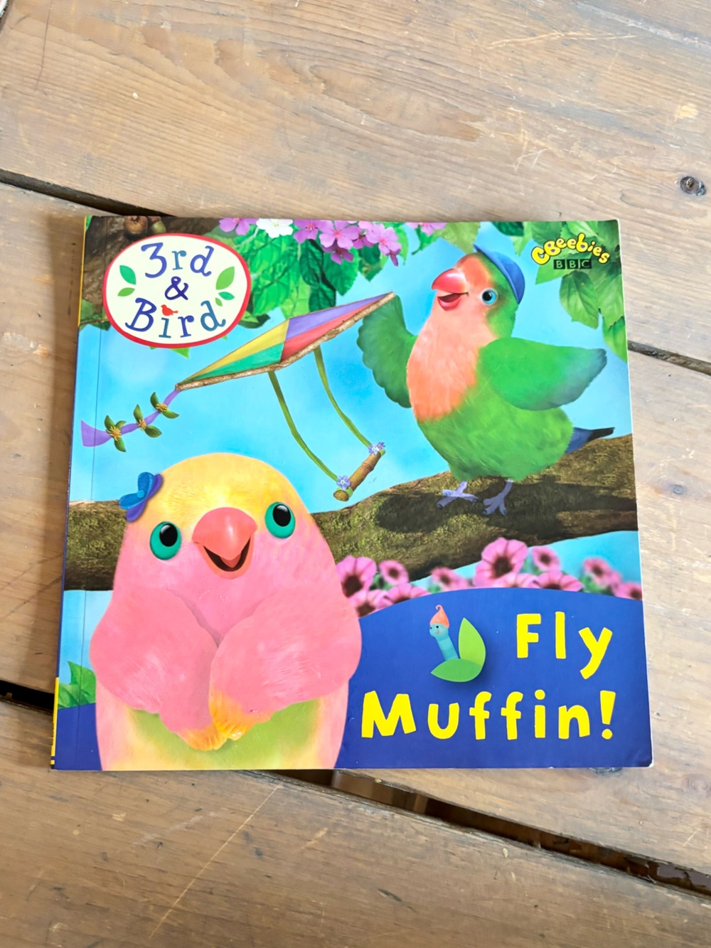 Fly Muffin 3rd and Bird Storybook